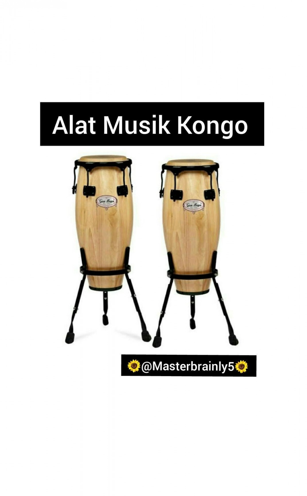 gambar alat musik Kongo​ - Brainly.co