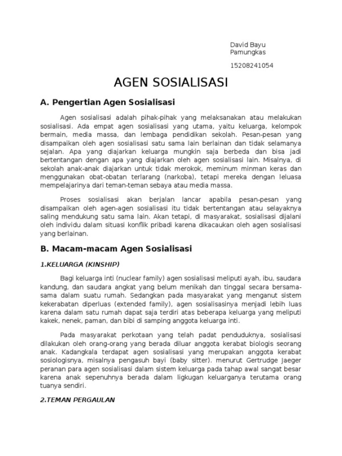 Agen Sosialisasi  PDF