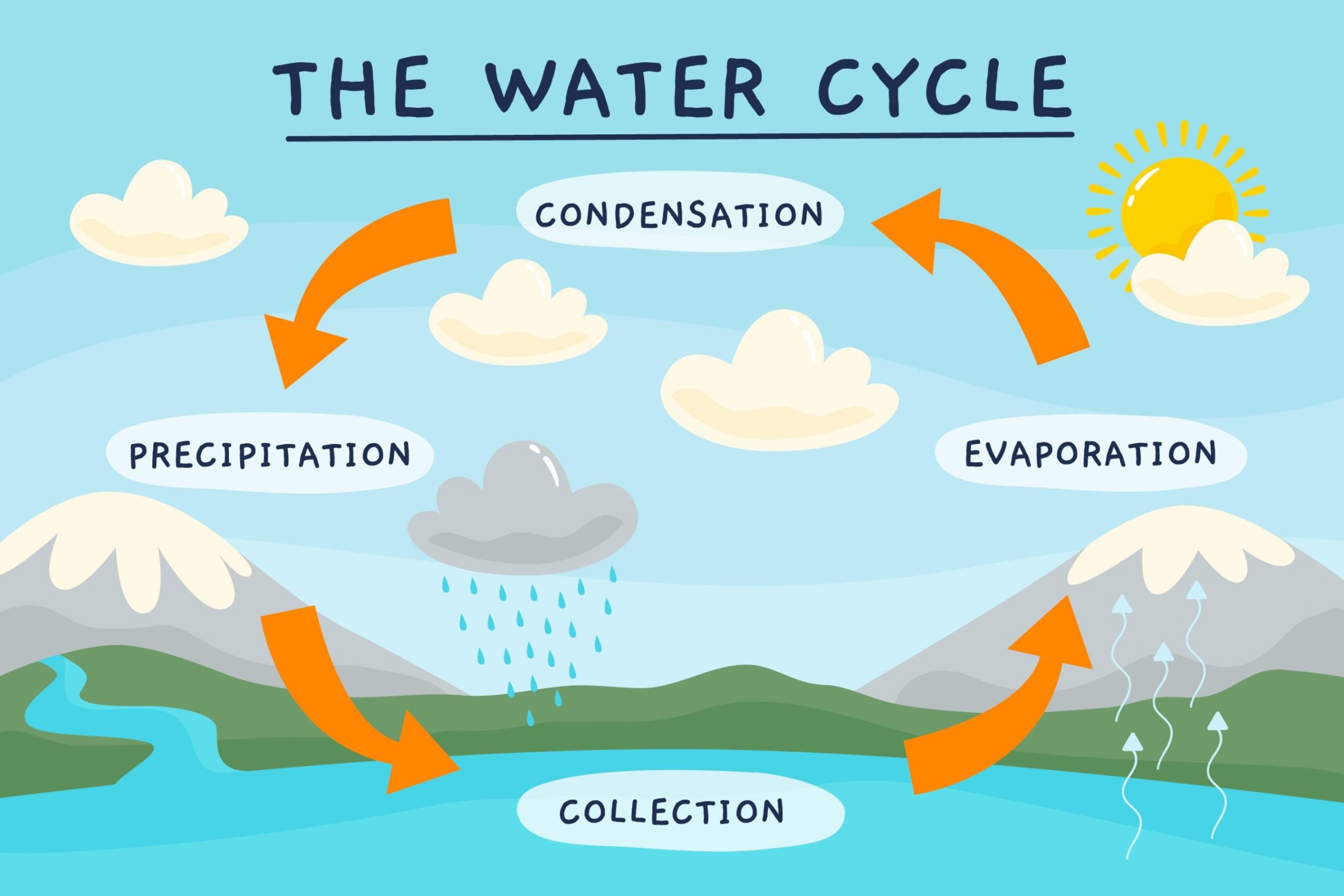 Bagaimana Proses Terjadinya Siklus Air? Materi IPAS Kelas  SD