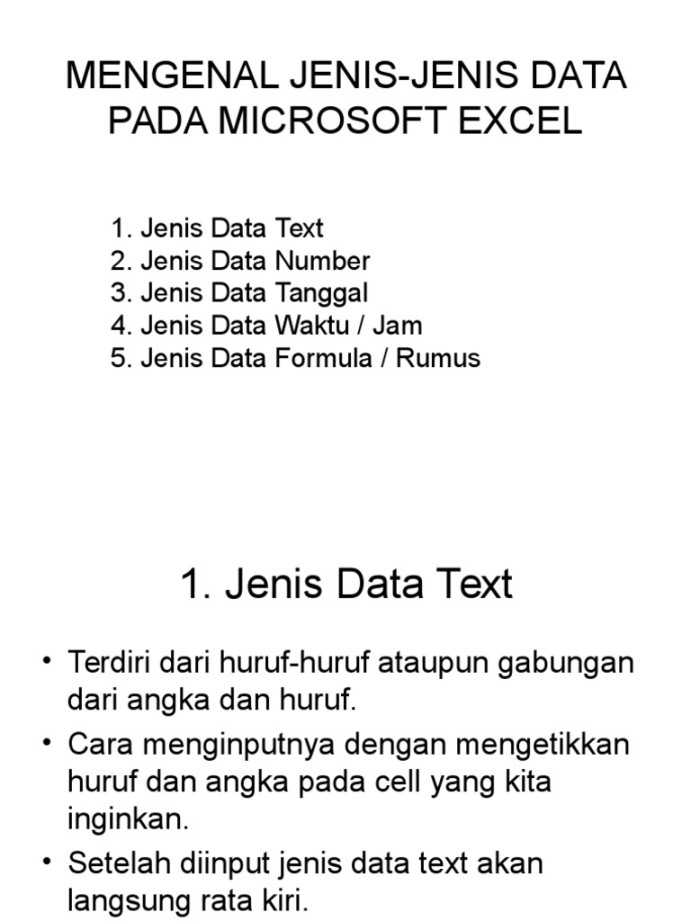 Mengenal Jenis-Jenis Data Pada Microsoft Excel  PDF
