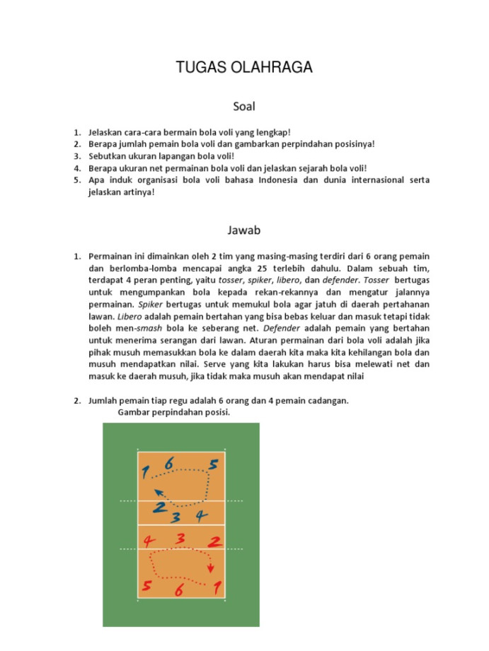 Tugas Olahraga  PDF